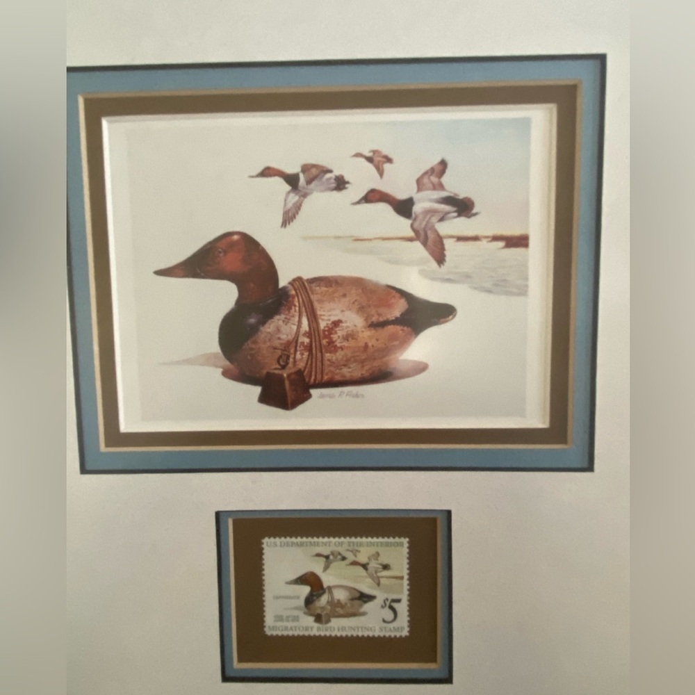 1975 - Federal Duck Stamp Print Artist JAMES FISHER Nicely Framed w/ Stamp - Picture 7 of 11